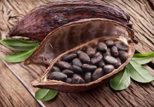 El origen del chocolate