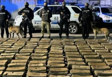 La Policía halló 254 kilos de cocaína en cajas de cartón con destino a España