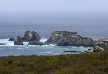 Fondo Verde aprueba $ 117,6 millones para acciones en Galápagos
