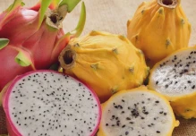 La pitahaya ecuatoriana llegará a China