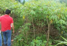 El pueblo del cacao y del chocolate
