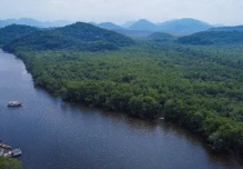 El 43 % de los bosques tropicales que desaparecieron en el planeta en 2022 eran de Brasil 