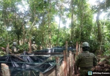 La frontera norte está amenazada por el narcotráfico internacional 
