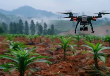La siembra de semillas de un dron apunta a revolucionar la reforestación en Ecuador