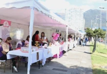 La intención de emprender descendió en Ecuador