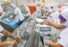 Exportaciones atuneras de Ecuador alcanzan récord en 2025 impulsadas por Europa