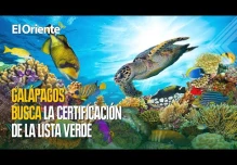 Noticias de Ecuador. Podcast Noti Oriente [4 de agosto, 2023]