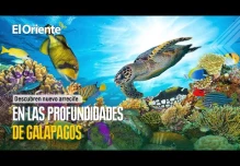 Noticias Ecuador. Podcast Noti Oriente 19-04-2023