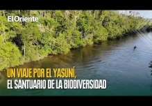 Yasuní: Un viaje a la Tierra Sagrada y su incomparable biodiversidad