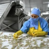 China suspende a siete procesadoras de camarón ecuatoriano