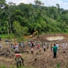 Proyecto tecnológico mejora la producción de cacao en una comunidad de Napo