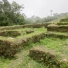 Ecuador impulsa nuevas postulaciones a la UNESCO y recupera documento histórico