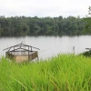 Investigadores desarrollan primer modelo de pesca sostenible para la Amazonía
