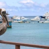Ecuador oficializará nueva reserva marina de Galápagos