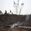 Unicef: Una sequía sin precedentes afecta a más de 420.000 niños en la Amazonía
