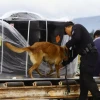 La Policía recibió cargamento de 4,5 millones de municiones