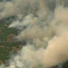 La Amazonía está en riesgo de colapso climático para 2050