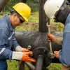 Ecuador habilita al Banco Central para asegurar el precio del petróleo 
