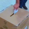 Más de 400.000 ecuatorianos están aptos para votar en el exterior el 21 abril