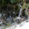 Las cavernas del río Anzu, un atractivo soñado en Pastaza