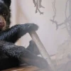 Sisa, cría huérfana de oso andino, busca padrinos