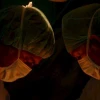 La incidencia mundial del cáncer antes de los 50 aumentó un 79 % en 3 décadas