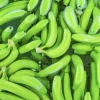 Exportaciones de banano crecen 9,87 % y superan las 111 millones de cajas en el primer trimestre