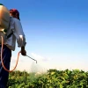 En Ecuador buscan reducir el uso de plaguicidas obsoletos en la agricultura
