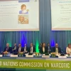 La ONU reconoce oficialmente las propiedades medicinales del cannabis