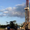 Petroamazonas adjudicó dos contratos de perforación para los campos Sacha y Coca-Payamino