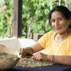 Expertos europeos cooperarán para mejorar competitividad del café ecuatoriano
