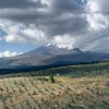 Ecuador destinó USD 1,09 millones para impulsar plantaciones forestales