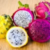 La pitahaya rompió récord de exportaciones en 2023