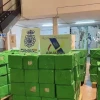 Incautadas más de cuatro toneladas de cocaína en España procedentes de Ecuador