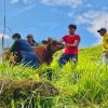 Napo: 1.500 bovinos serán atendidos en área de derrame