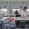 Científicas ecuatorianas podrán participar por primera vez en premio regional de la Unesco