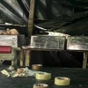 Las FF.AA. destruyeron laboratorio de cocaína en Shushufindi