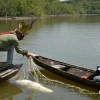 FAO y OTCA lanzaron programa de bioeconomía amazónica