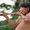 Záparas, custodios de sueños y saberes ancestrales