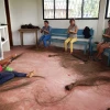Amazónicas tejen con bejuco como hacían ancestros