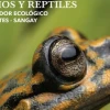 Guía sobre corredor Llanganates-Sangay será presentada