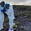 Autoridades evalúan reapertura al turismo de Isla Genovesa