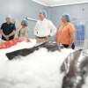 Usaid dona equipos para pescadores artesanales en Galápagos