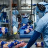 Planta de Pronaca obtiene certificación ambiental ISO 14001
