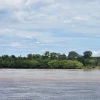 Alerta en Guaviare por propuesta de salir de la Amazonía