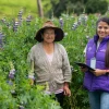 El Registro Nacional Agropecuario inició en seis provincias