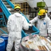 Ecuador es pionero en proceso de destrucción de drogas denominado encapsulamiento