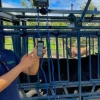 Ganaderos de El Chaco recibieron equipos especializados