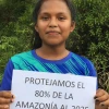 Indígenas lanzan cuenta atrás para proteger el 80 % de la Amazonía para 2025