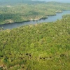 Los peces de la Amazonía brasileña están contaminados con mercurio